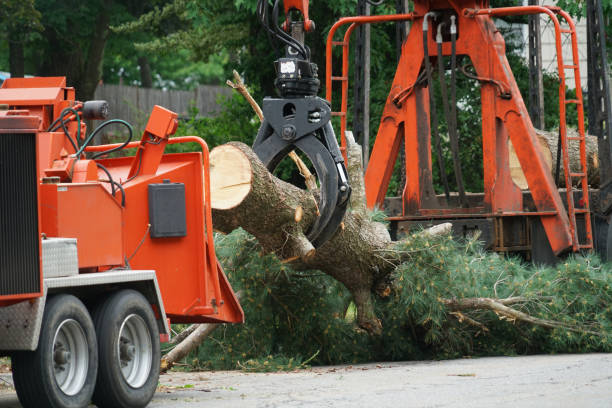 Best Lawn Watering Services  in Hemlock Farms, PA